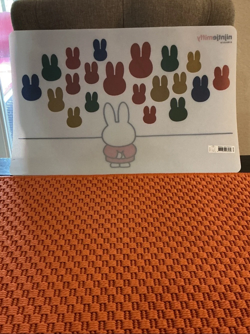 Nijntje x Miffy cute nijntje